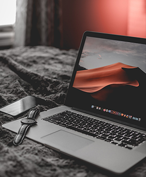 Art, language, and integrated learning